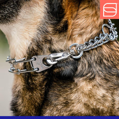 Herm Sprenger chrome-plated steel collar closeup emphasizes durability and rust resistance.