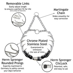 Herm Sprenger prong collar with cliclock buckle secures fit during daily walks