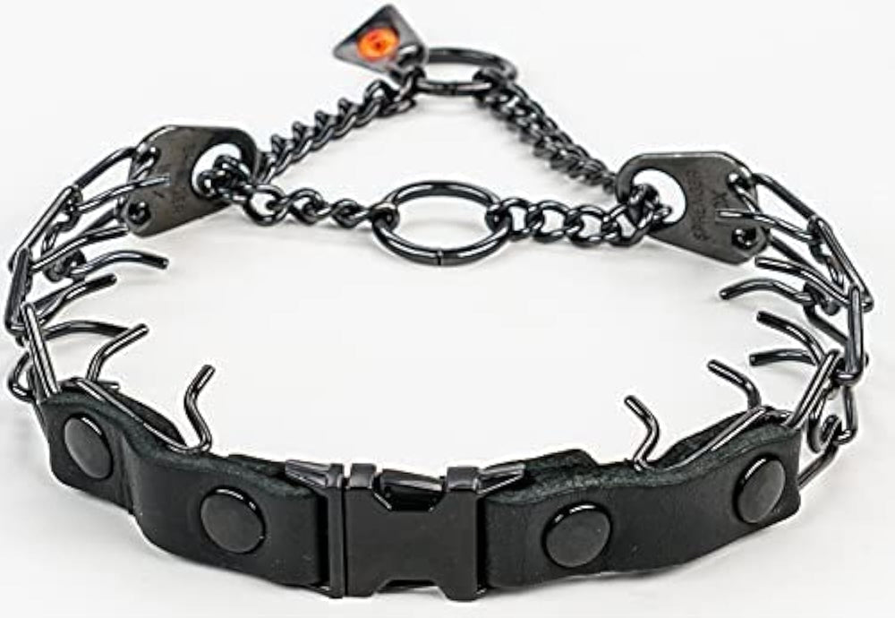 Herm Sprenger quick-release buckle collar shows fast, safe leash attachment for smoother training sessions.