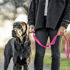 Herm Sprenger rubberized leash in orange showing reflective stripes for safer evening walks