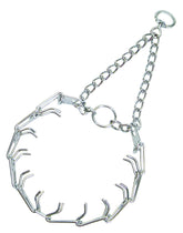 Herm Sprenger Ultra-Plus prong collar chrome 3mm on neck for training.
