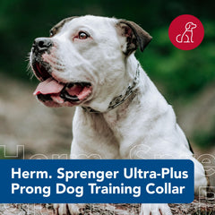 Herm Sprenger Ultra-Plus prongs provide symmetric contact for even pressure distribution.
