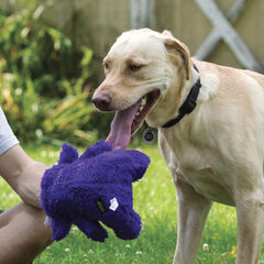 Hero Chuckles laminated mesh durability image highlighting reinforced stitching for tough chewers.