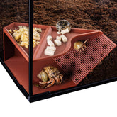 HERPDEN Hermit Crab Cave top view emphasizes 180-degree visibility for natural behavior.