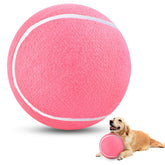 HETOO pelota tenis grande rosa de 9,5 pulgadas para perros, ideal para juego activo al aire libre