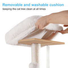 Hey-brother bidirectional hammock demonstrates secure lounging for kittens and cats