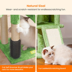 Heybly cat tree basket perch provides a secure, cozy retreat.