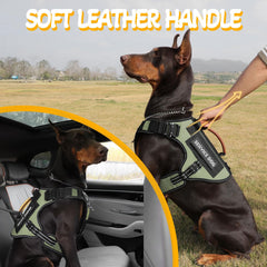 HEYCAHVA MOLLE side pouches for carrying essentials.