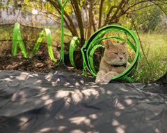 HEYHOME top-cover anti-escape close-up highlights containment for curious pets