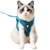 HEYWEAN cat harness escape-proof strap for safe outdoor adventures.