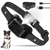 HGFLMR citronella bark collar on a dog during training for quieter outdoor outings