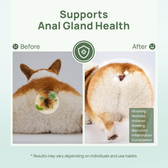HICC PET wipes applied to face and ears for gentle cleansing and comfort.