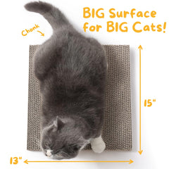 Hide & Scratch refill pack shown beside scratcher box for quick, mess-free replacements