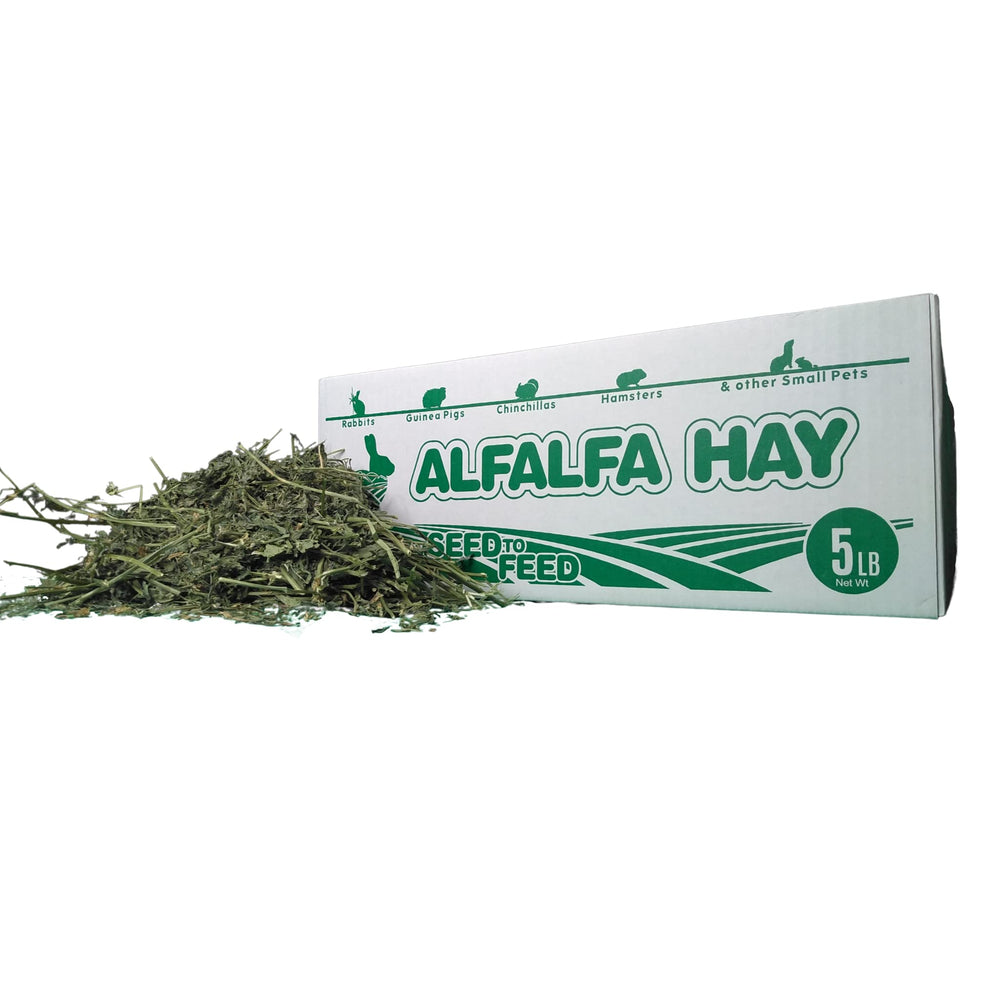 High Desert Alfalfa Hay closeup of fresh strands supporting growth in small pets.