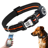 Hiifardz Airtag collar orange with reflective strips for safer night walks.