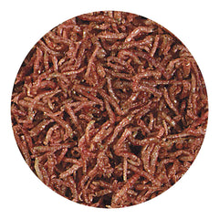 Hikari Bio-Pure blood worms bottle pour highlights easy portion control.