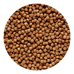 Hikari Cichlid Gold Pellets pouring action highlights sinking formula for bottom-dwelling fish