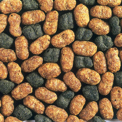 Hikari Hi Growth Large pellets close-up for precise portioning.