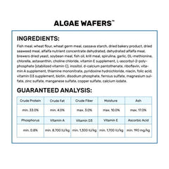 Hikari tropical algae wafer contains spirulina-rich ingredients for algae eaters.