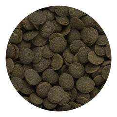 Hikari wafers sinking in aquarium for bottom-dweller nutrition.