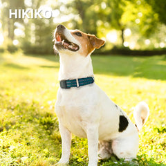Hikiko collar martingale diseñado para entrenamiento suave y control seguro