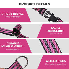 Hikiko martingale collar pink sturdy hardware for daily wear.
