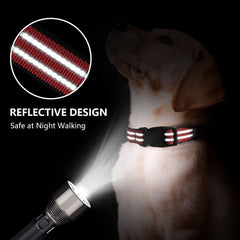 Hikiko Martingale quick release buckle for emergency removal
