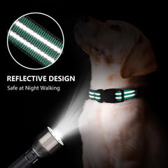 Hikiko martingale collar reflective strip for safer night walks