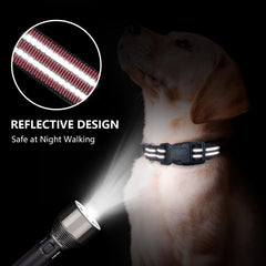 Hikiko martingale collar burgundy with reflective strip for night visibility.