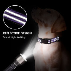 Hikiko Martingale collar reflective strip glows for safer night walks