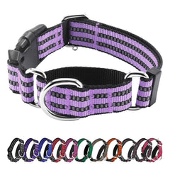 Hikiko Martingale lavender strap collar for comfortable daily wear.