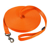 Hi Kiss long dog leash 100ft orange for extended recall training in open spaces.