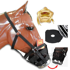 Hilason nylon webbing with four-point attachments enables secure, adjustable fit.