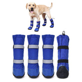 Hipaw dog boots winter protection in snow and ice with secure fit.