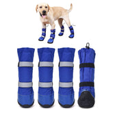 Hipaw waterproof dog boots shield paws in snow for outdoor walking.