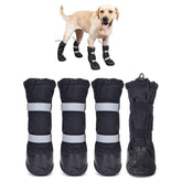 Hipaw waterproof dog boots in winter snow provide warmth and rain protection on walks.