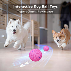 Hipibbo interactive dog ball three modes for tailored play