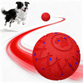 hipibbo interactive dog ball front view promotes active play and mental stimulation.