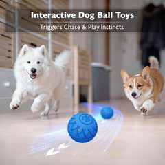 Hipibbo smart motion-sensing toy captures attention with unpredictable movement.