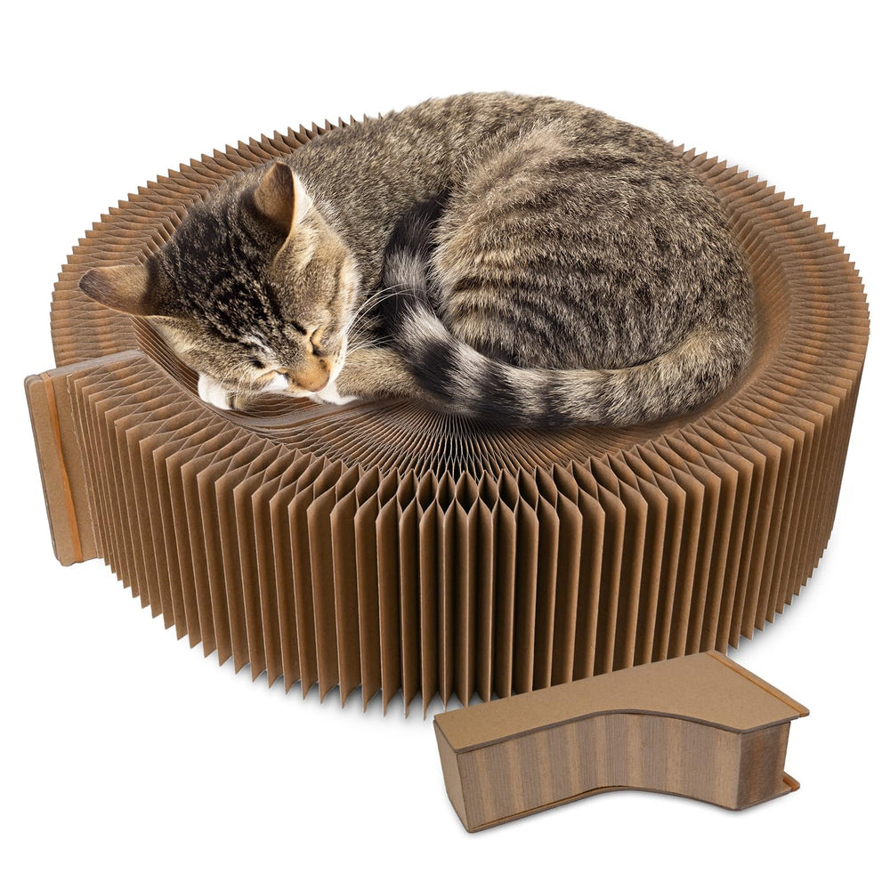 HivaolJoy round cat bed scratcher lounge in use for comfort and scratching