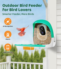 HIXX 2K HD video keeps color accuracy and night visibility for early morning birds.