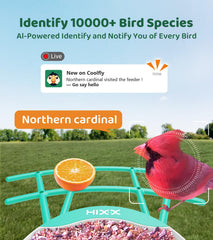 HIXX AI identifies birds across 10,000 species for quick learning and curiosity.