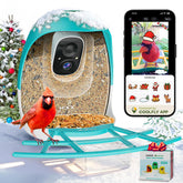 HIXX bird feeder camera front view shows quick setup and real-time bird watching.