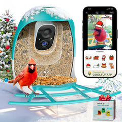 HIXX bird feeder camera front view shows quick setup and real-time bird watching.