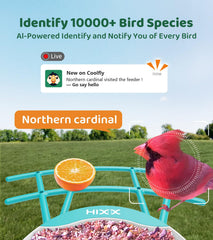 HIXX bird feeder camera solar panel for long-lasting outdoor operation.