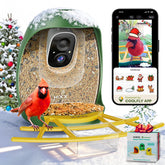 HIXX Smart Bird Feeder camera live view shows real-time backyard birds on phone