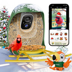 HIXX Smart Bird Feeder camera provides live view of visiting birds on your phone.