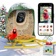 HIXX Smart Bird Feeder camera live view shows real-time backyard birds on phone