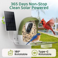 HIXX Solar panel and battery enable wireless, eco-friendly birdwatching