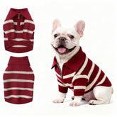 Hó Pêng-iú Small Dog Sweater with Zipper front view for easy wearing and warmth.